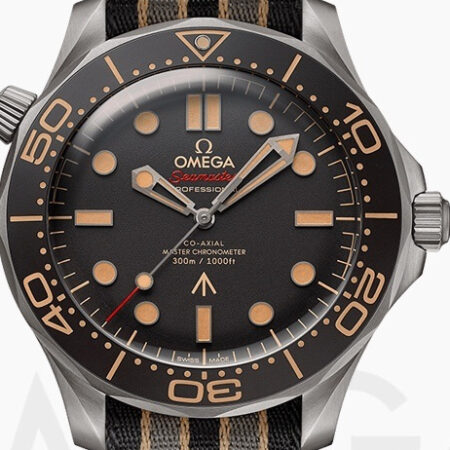 Omega Seamaster 210.22.42.20.01.002(42mm)