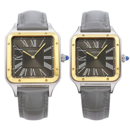 Cartier SA SANTOS DE CARTIER WGTA0175(31.4mm)